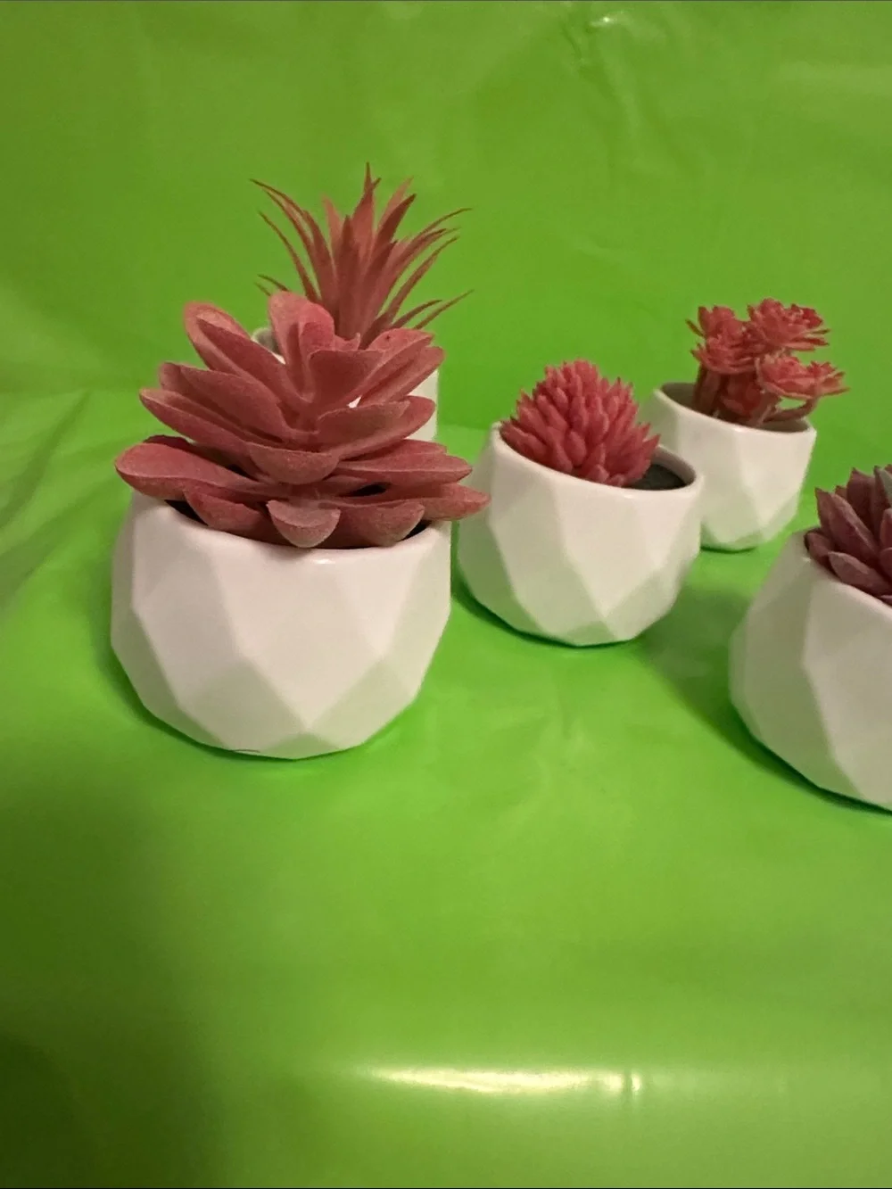 White Geometric Ceramic Planter Set with Pink Succulents - Home Accents